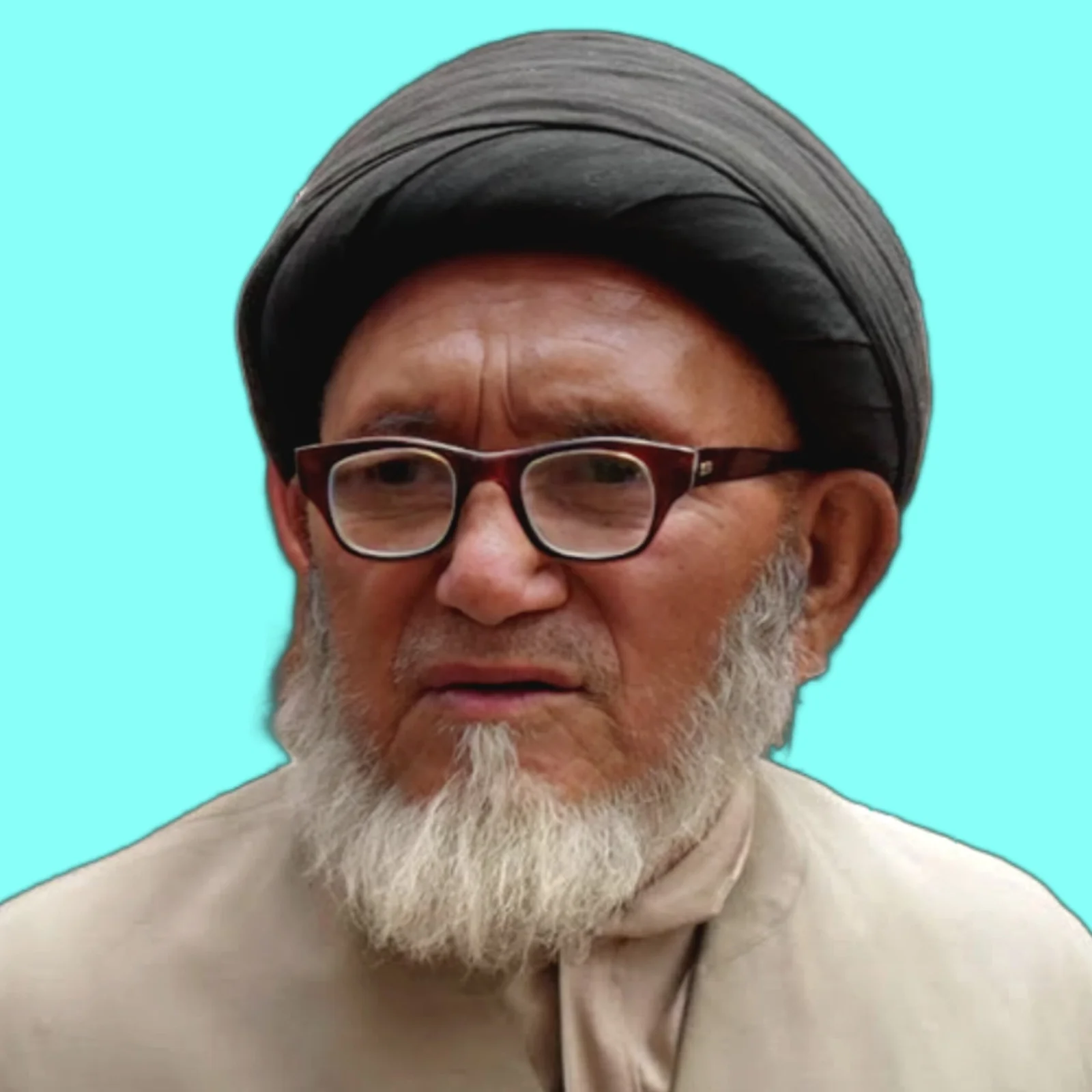 Late Hojjatul Islam Walmuslimeen Syed Mohammad Nizam ud Deen Razavi (r.a)